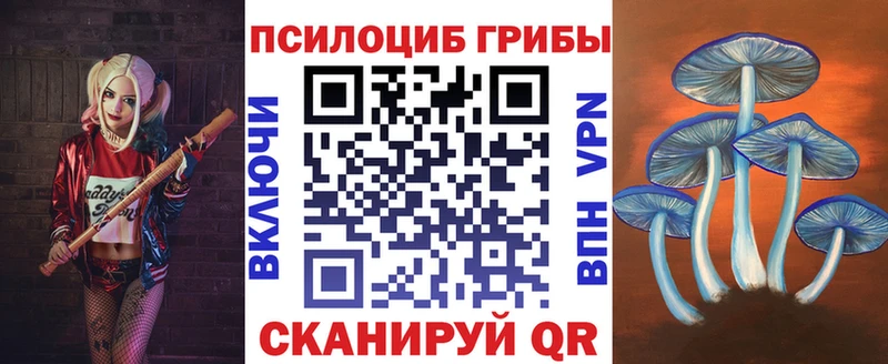 даркнет сайт Старая Русса сайты даркнета формула Галлюциногенные грибы мицелий
